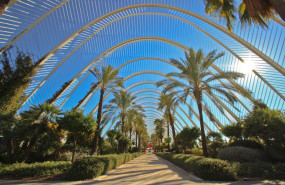 pexels pexels photo 14419185