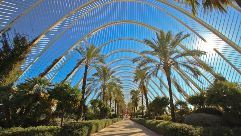 pexels pexels photo 14419185