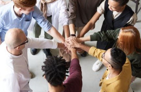 pexels pexels photo 3184423