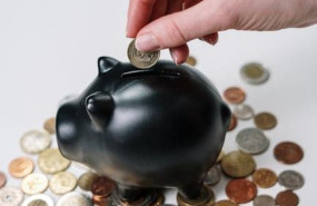 pexels pexels photo 3943723