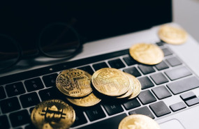 pexels pexels photo 8919569 pexels pexels photo 8919569