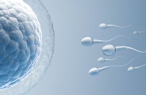 reproduccion asistida 