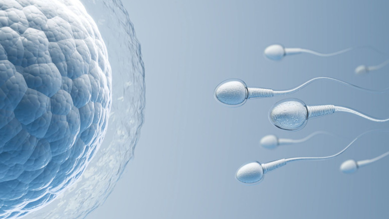 reproduccion asistida 