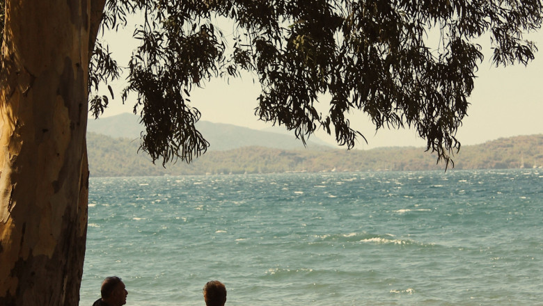 residencialpalau residencial palau palauresidencial 20230210134223 