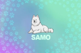 samo finixio min