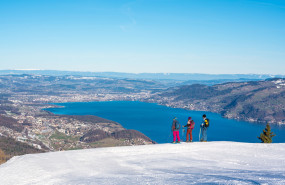 schneeshuhwandern aeschi spiez thun thunersee winter mike kaufmann 