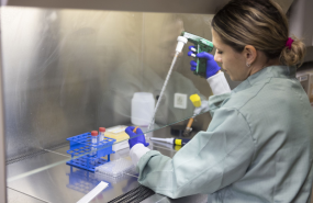 agecia estatal de investigacion 