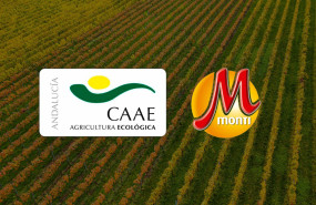 caae productos monti 