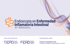 curso sepd digestivos para diagnostico y seguimiento endoscopico eii