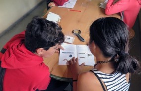 ep alumnos madrilenos investiganlos polinizadores