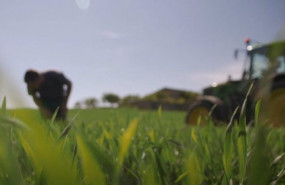 ep archivo el primero de ellos aborda un proyecto de cultivo de trigo de proximidad en santa ep archivo el primero de ellos aborda un proyecto de cultivo de trigo de proximidad en santa