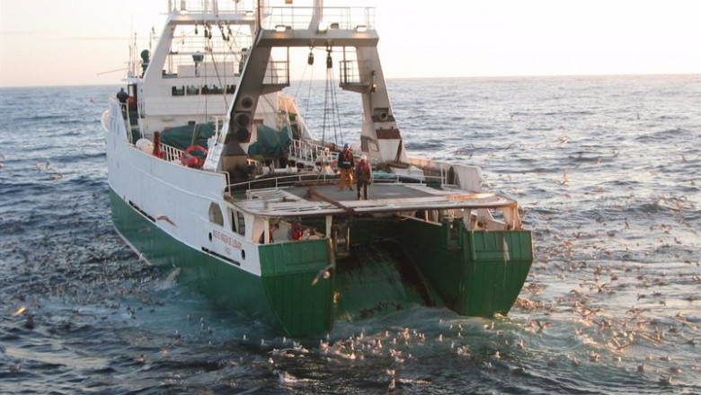 ep cepesca 20220120140404 ep cepesca 20220120140404