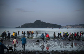 ep mariscadores trabajan en la playa de lourido a 3 de marzo de 2026 en pontevedra galicia espana