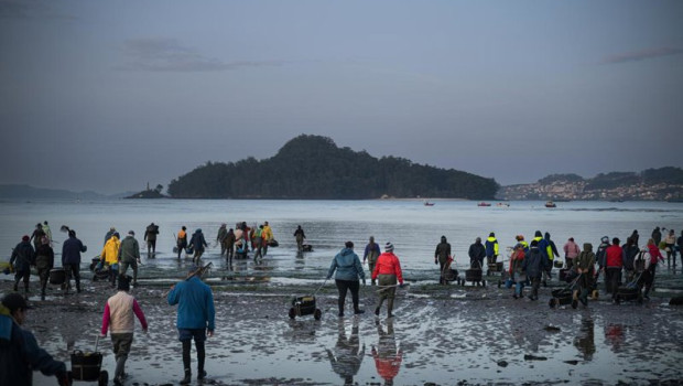 ep mariscadores trabajan en la playa de lourido a 3 de marzo de 2026 en pontevedra galicia espana