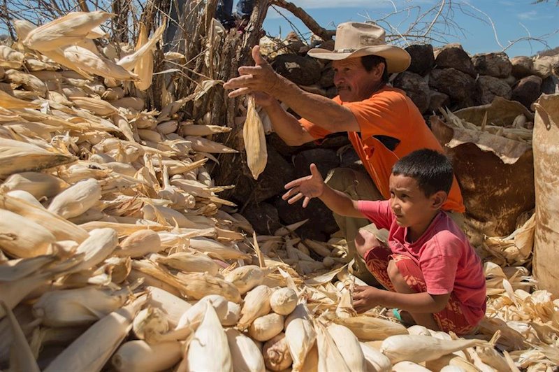 ep un agricultor y su hijo en honduras