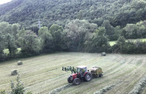 ep un tractor recoge alpacas de hierba