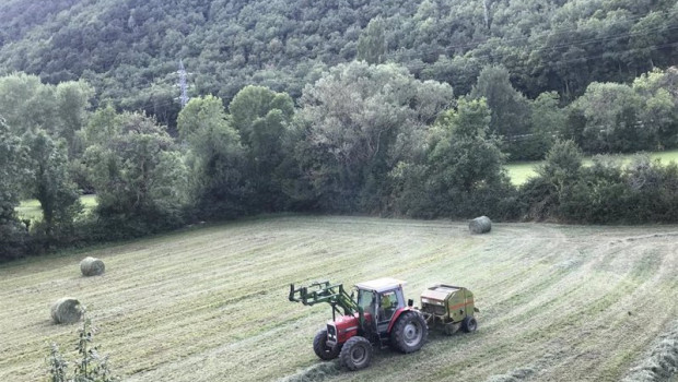 ep un tractor recoge alpacas de hierba