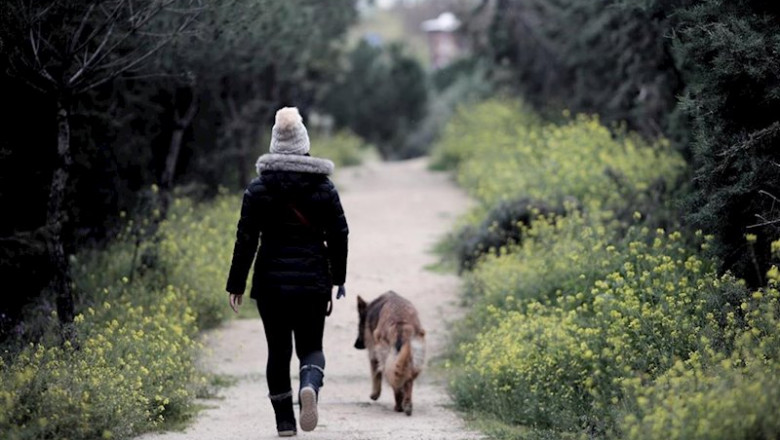 ep una mujer pasea a su perro ep una mujer pasea a su perro