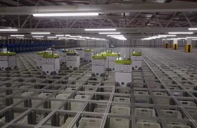 ocado osp robots hive ocado osp robots hive