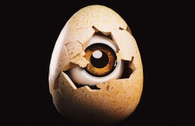 1653496035 aaa 20220526150438 