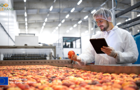 agilehand early adopter programme 20250619152716 agilehand early adopter programme 20250619152716