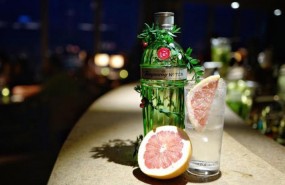 diageo tanqueray diageo tanqueray