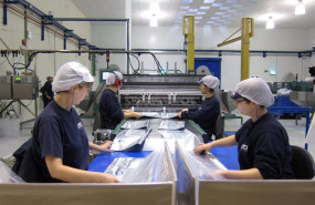 ep archivo   comisiones obreras ccoo de industria y la federacion de industria construccion y agro