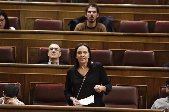 Carolina Bescansa en el Congreso | EUROPA PRESS ep carolina bescansacongreso