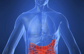 ep enfermedad de crohn intestino enfermedad intestinal