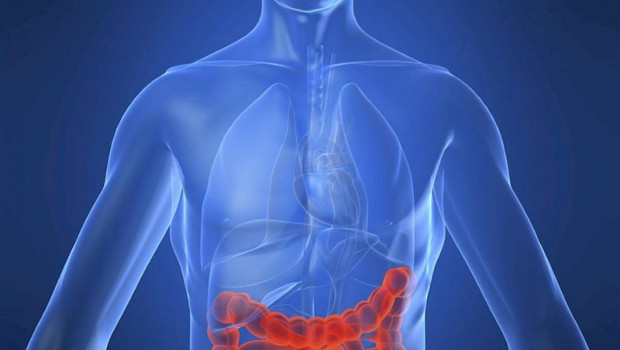 ep enfermedad de crohn intestino enfermedad intestinal