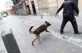 ep guia canino guias caninos perro policia perros policias