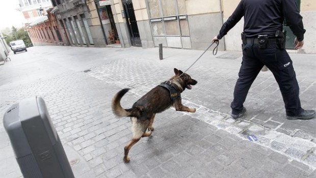 ep guia canino guias caninos perro policia perros policias