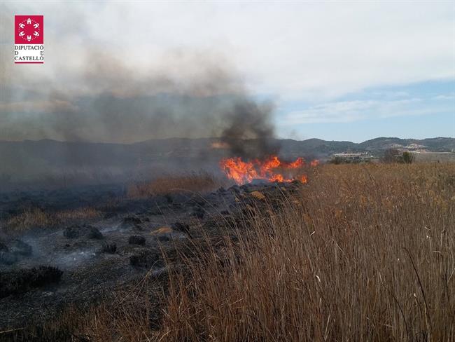 INCENDIO DE TORREBLANCA (Castellón) en marzo de 2018 | CONSORCIO DE BOMBEROS ep incendiotorreblanca castellon en marzo2018