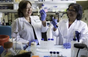 ep saswati chatterjeedescubiertomecanismocorregir defectos geneticos