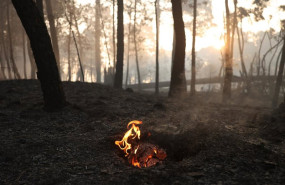 ep una llama en el incendio forestal a las afueras de casavieja a 29 de julio de 2026 en avila
