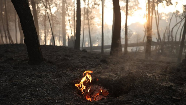 ep una llama en el incendio forestal a las afueras de casavieja a 29 de julio de 2026 en avila