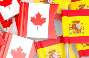 image 20251202153146 image 20251202153146