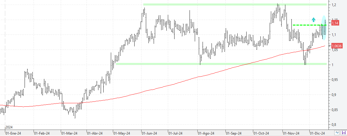 q181224linea