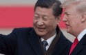 trumpxi trumpxi