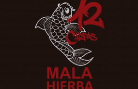 1584957239 portada 12 carpas mala hibera