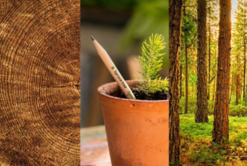 1617033816 captura de pantalla 2021 03 29 a las 180328