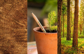 1617033816 captura de pantalla 2021 03 29 a las 180328