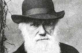 darwin en patagonia portada