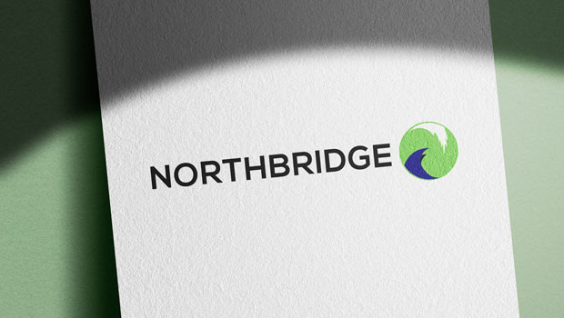 dl northbridge industrial services aim manufacturing loadbanks heatload rental sales logo