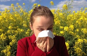 ep alergia estornudo halitosis