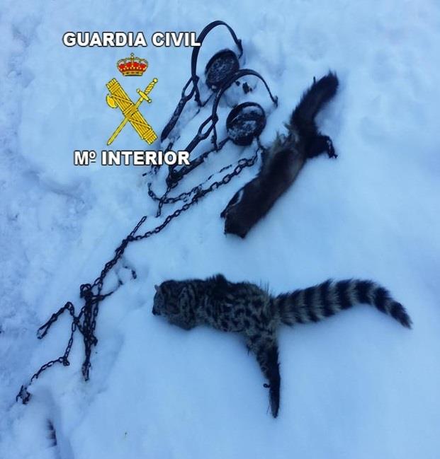 ep animales encontrados muertoslos agentes