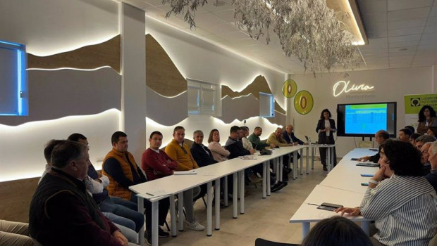ep asamblea regional del sector de aceite de oliva de cooperativas agro alimentarias c lm
