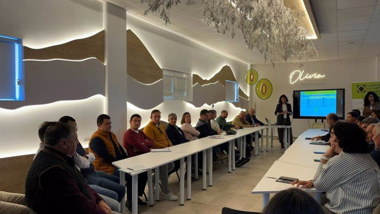Asamblea Regional del Sector de Aceite de Oliva de Cooperativas Agro-alimentarias C-LM | COOPERATIVAS AGRO-ALIMENTARIAS ep asamblea regional del sector de aceite de oliva de cooperativas agro alimentarias c lm