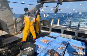 ep el sector pesquero solicita a los ministros de pesca de la ue que rechacen la reduccion ni en un