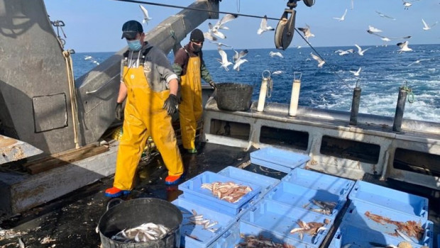 ep el sector pesquero solicita a los ministros de pesca de la ue que rechacen la reduccion ni en un